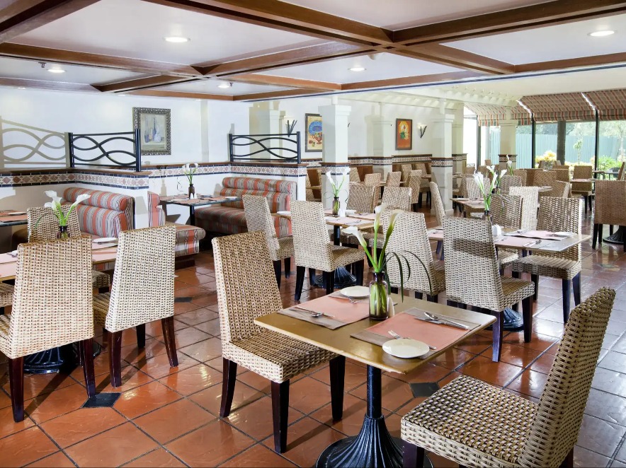 Terazza Brasserie