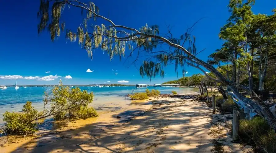 Beach area at Coochiemudlo Island
